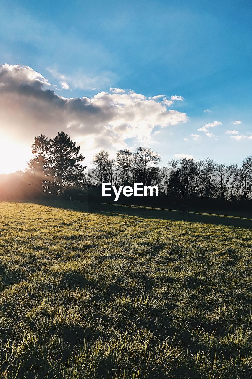 Scenic view of field against sky during sunset