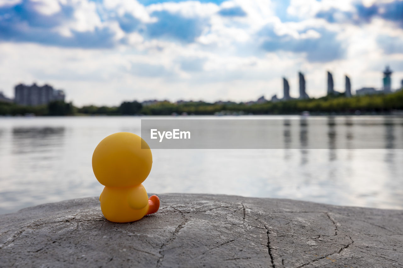 CLOSE-UP OF YELLOW WITH RIVER IN BACKGROUND