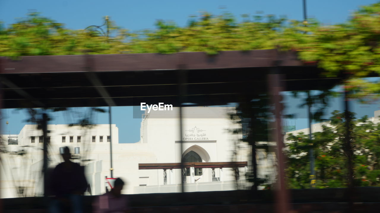 BLURRED MOTION OF TREES AND PLANTS