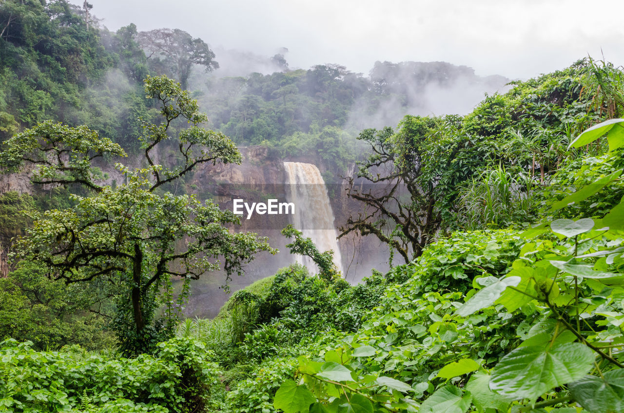 Scenic view of ekom falls, lush rainforest and mountains against foggy sky, cameroon, africa