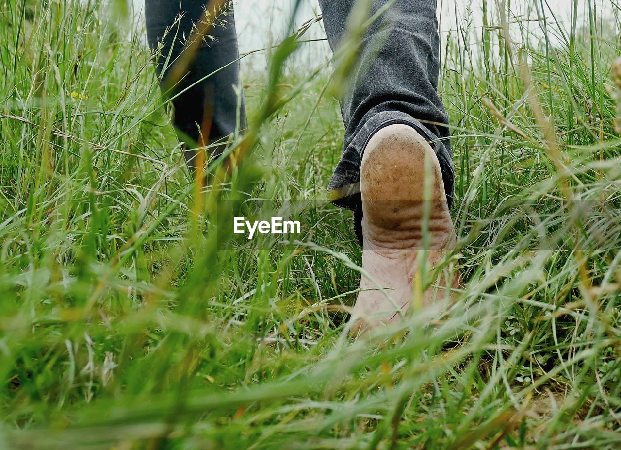 Low section of man walking on grassy field