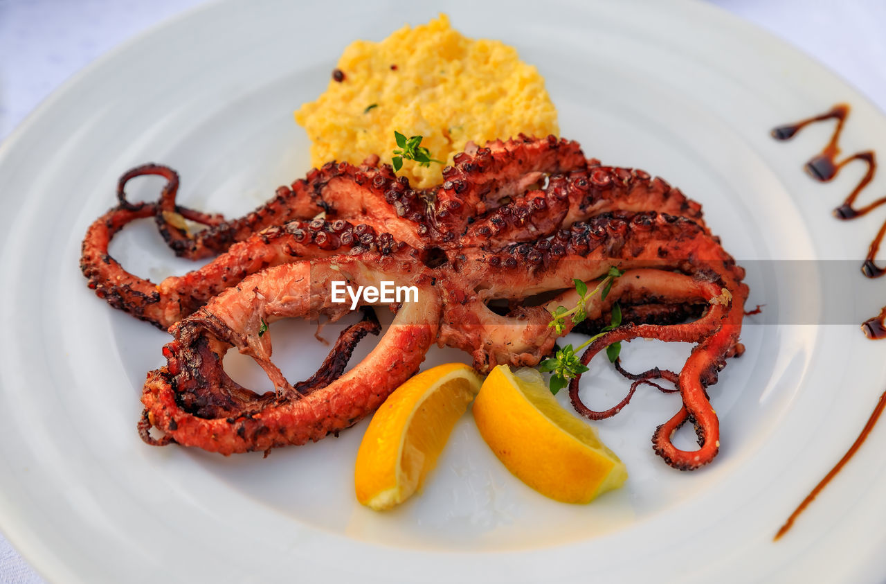 close-up of food served in plate