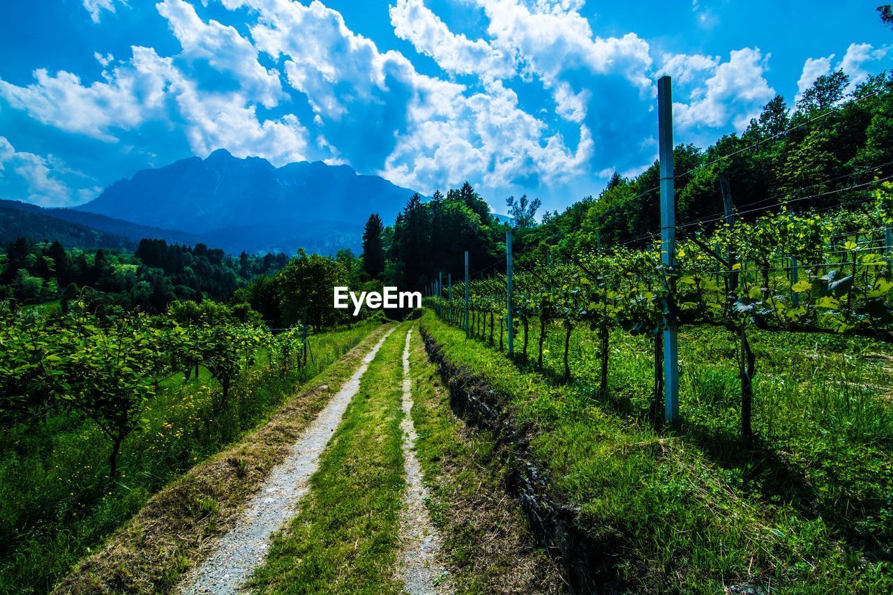 Scenic view of landscape against cloudy sky