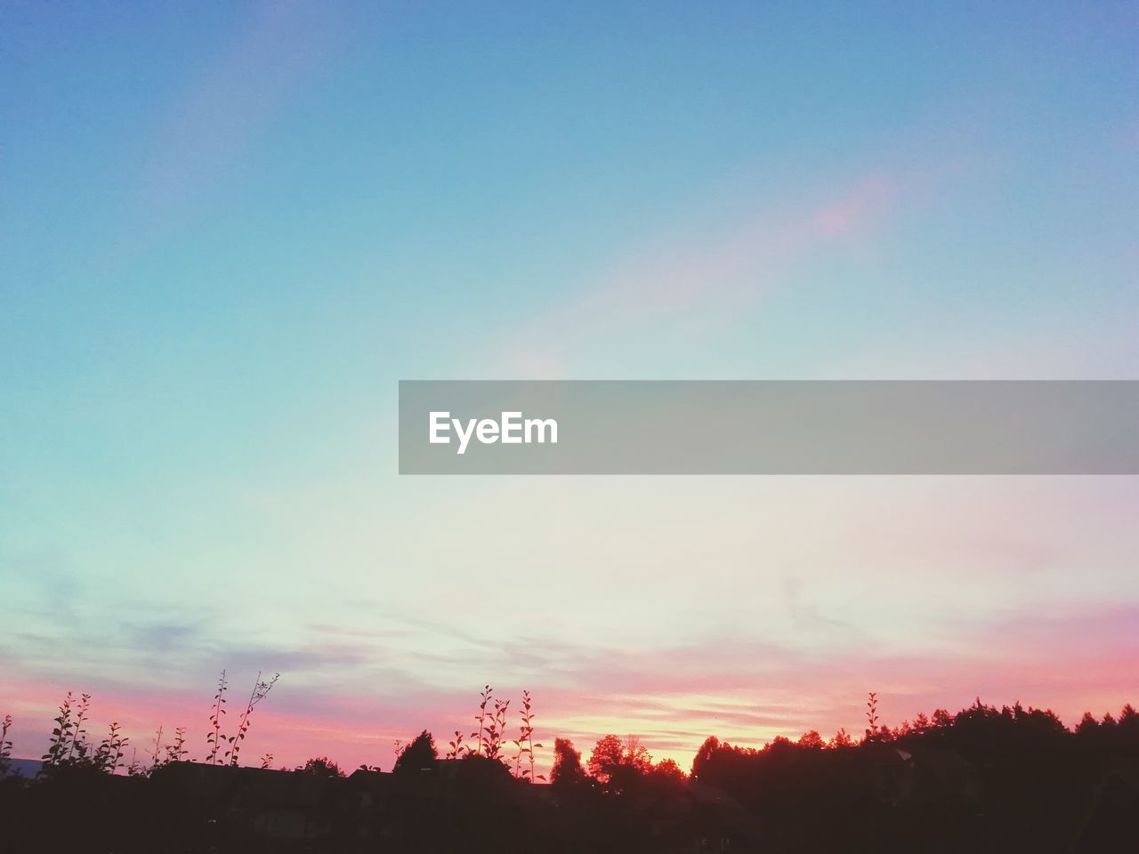 SCENIC VIEW OF SILHOUETTE TREES AGAINST ROMANTIC SKY