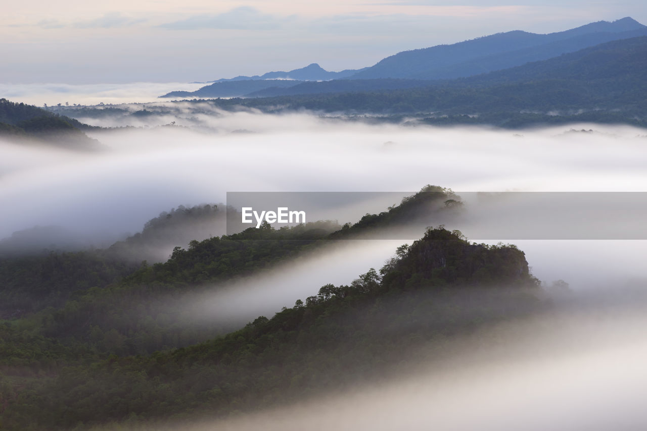 Beautiful mist over green forest on mountain, aerial view sunrise over the mountain range.