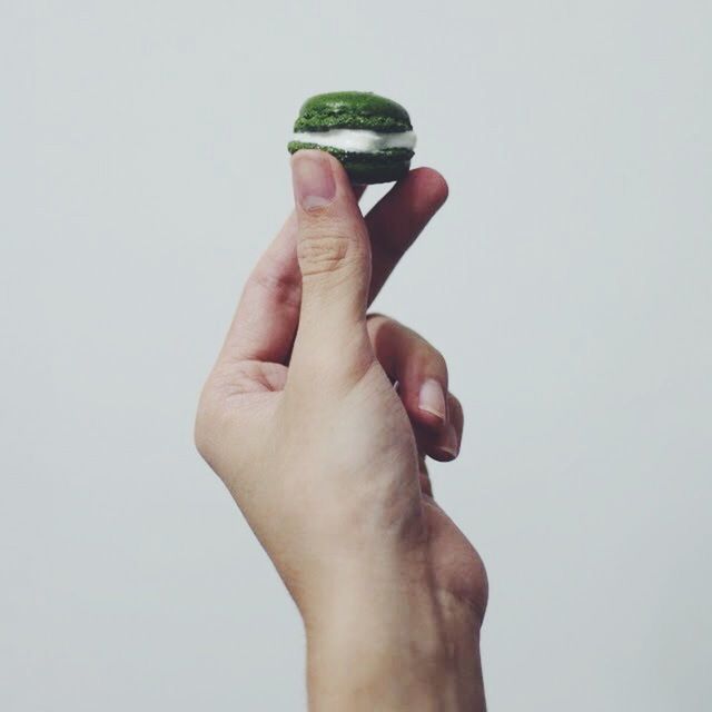 CROPPED IMAGE OF HAND HOLDING WHITE BACKGROUND