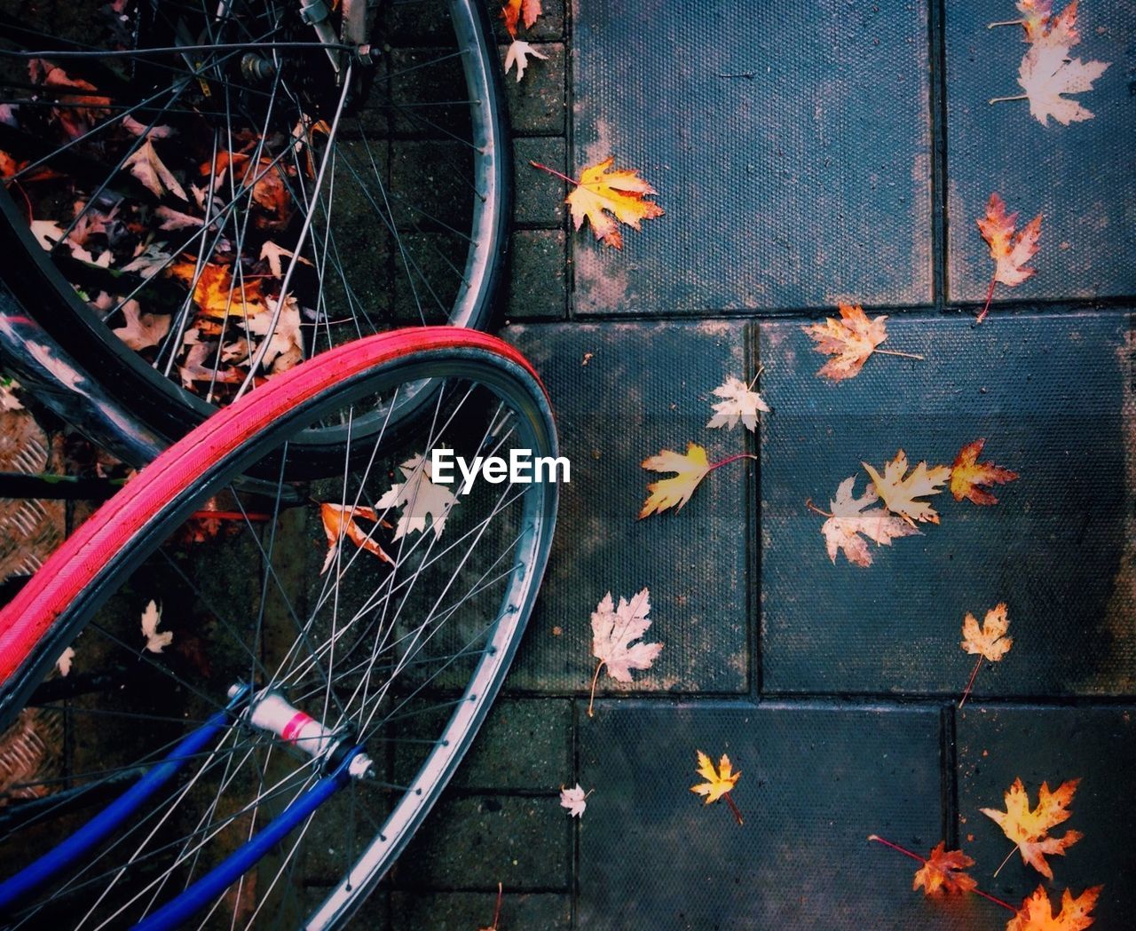 High angle view of bicycle on street