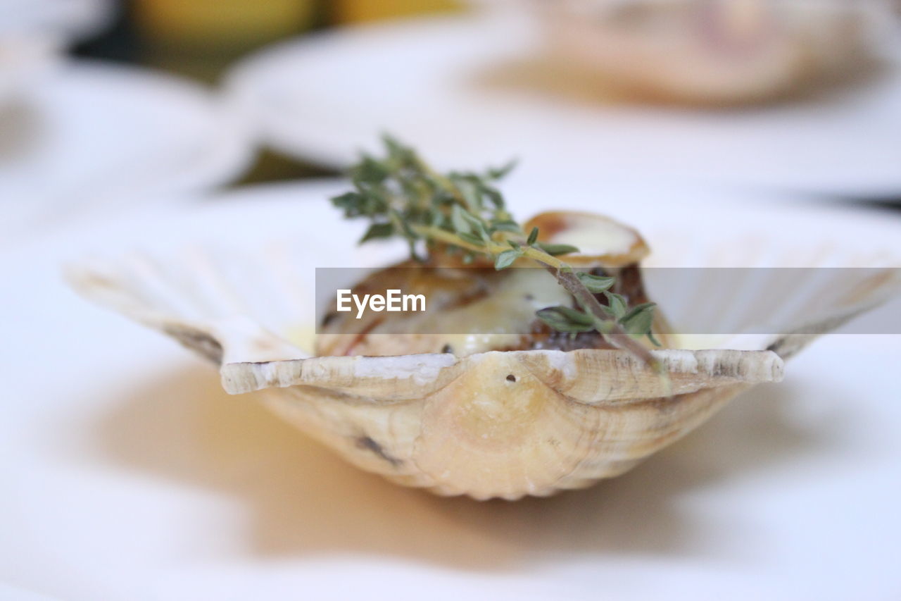 Close-up of food in plate on table