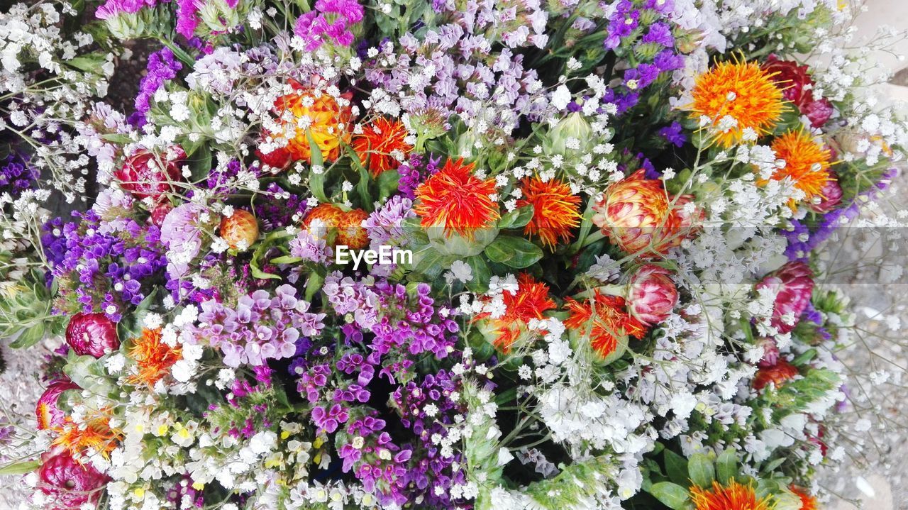 CLOSE-UP OF FLOWERS