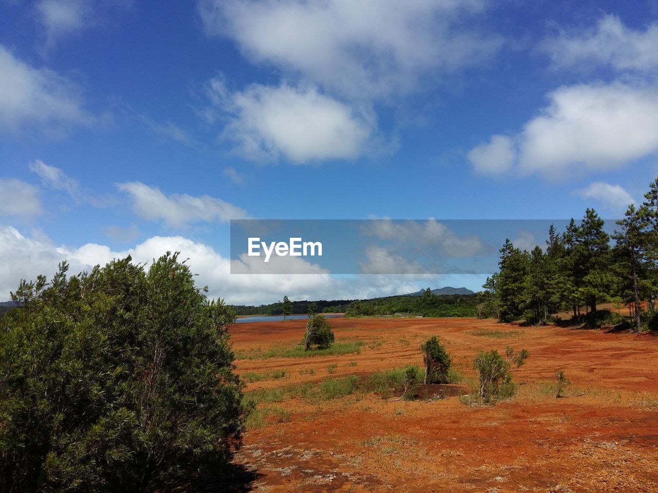 Scenic view of dry land  against sky