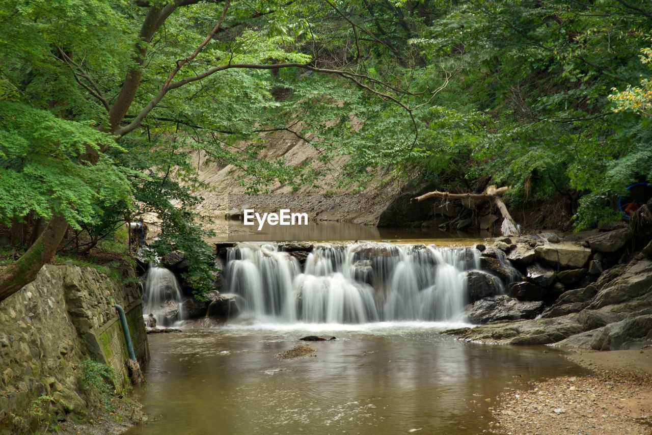 Scenic view of waterfall in forest