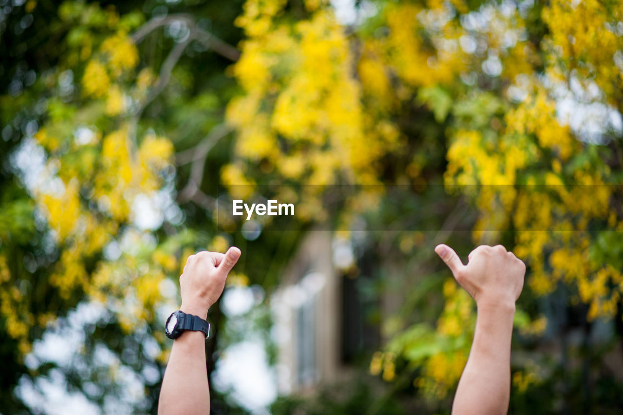 Cropped hands of person gesturing against trees