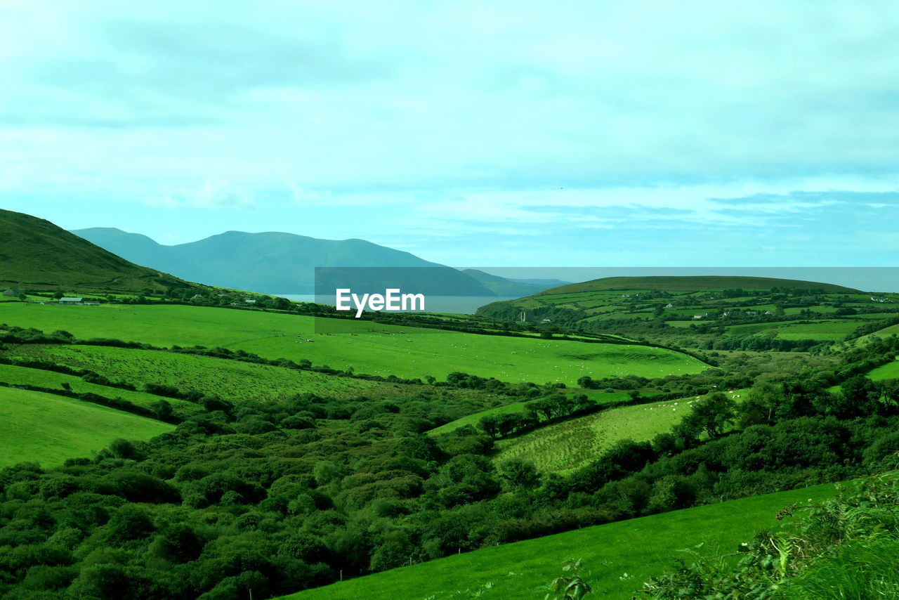 Scenic view of green landscape and mountains against sky