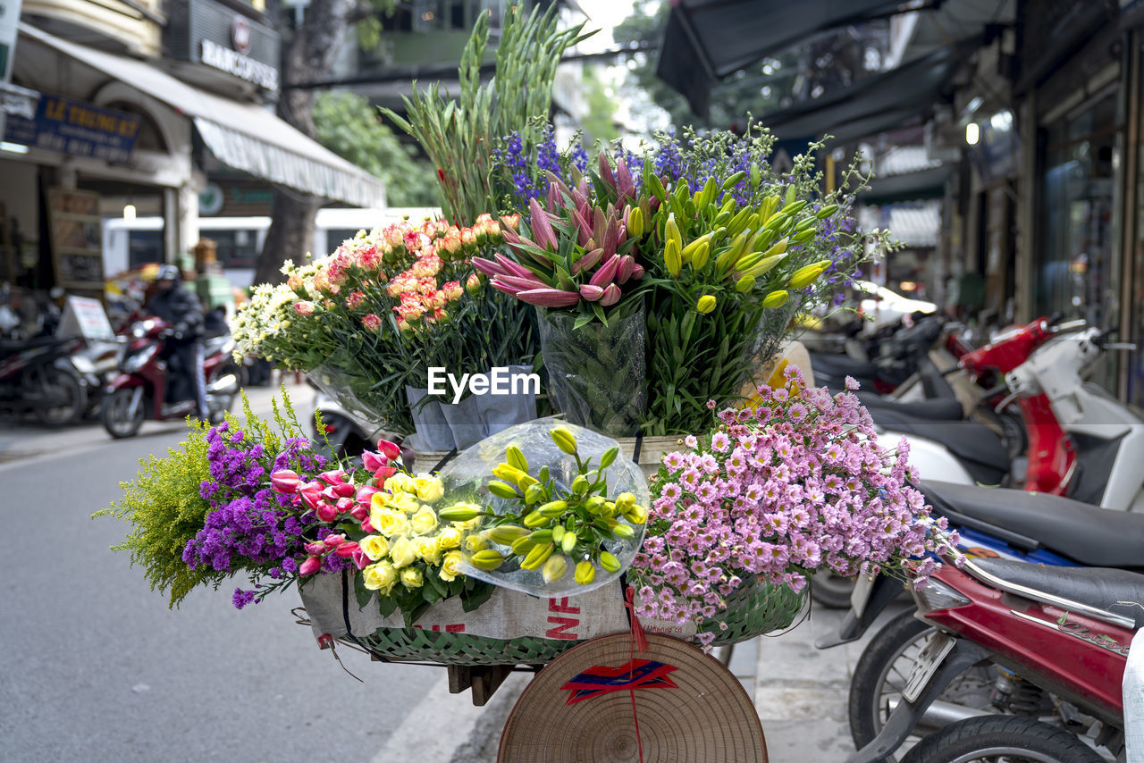 PURPLE FLOWERS ON STREET