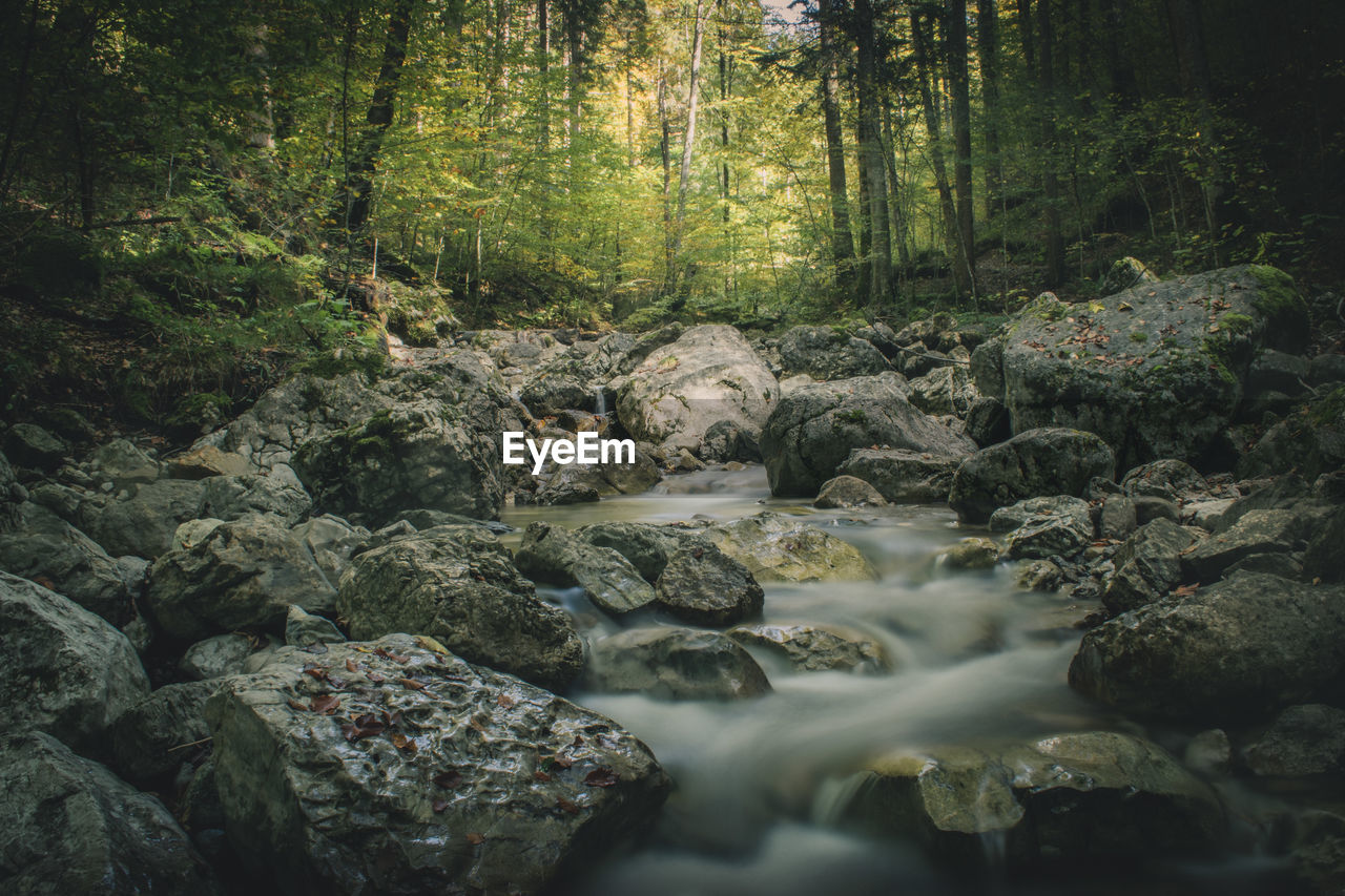 Stream flowing through rocks in forest