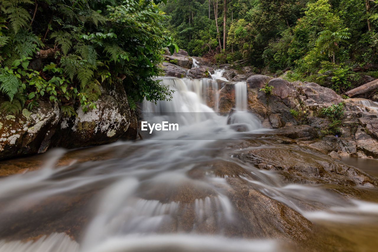 SCENIC VIEW OF WATERFALL