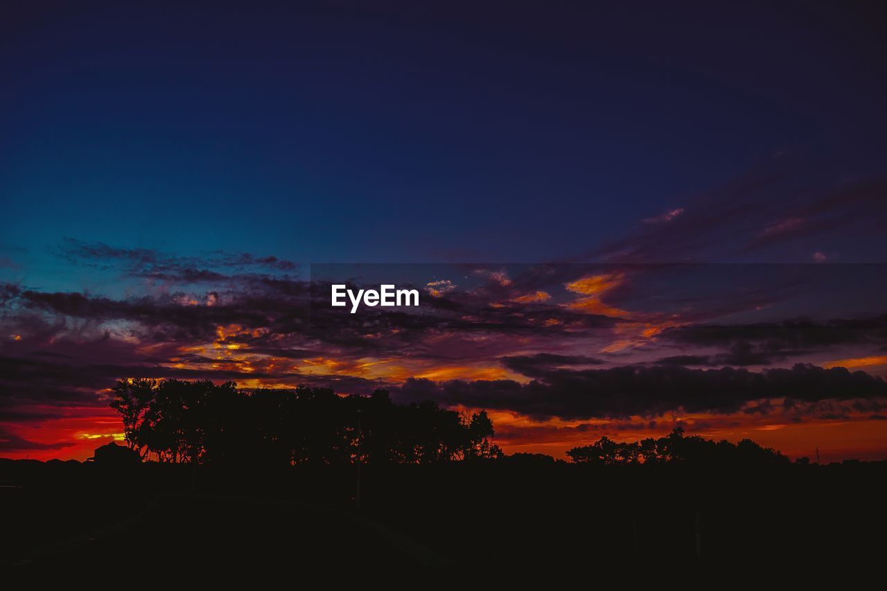 SILHOUETTE OF TREES ON LANDSCAPE