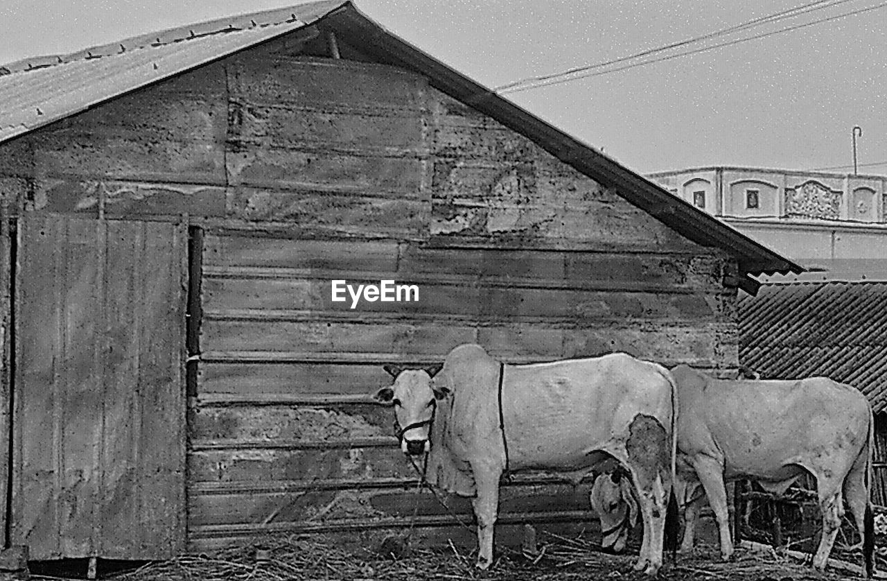 HIGH ANGLE VIEW OF HOUSE