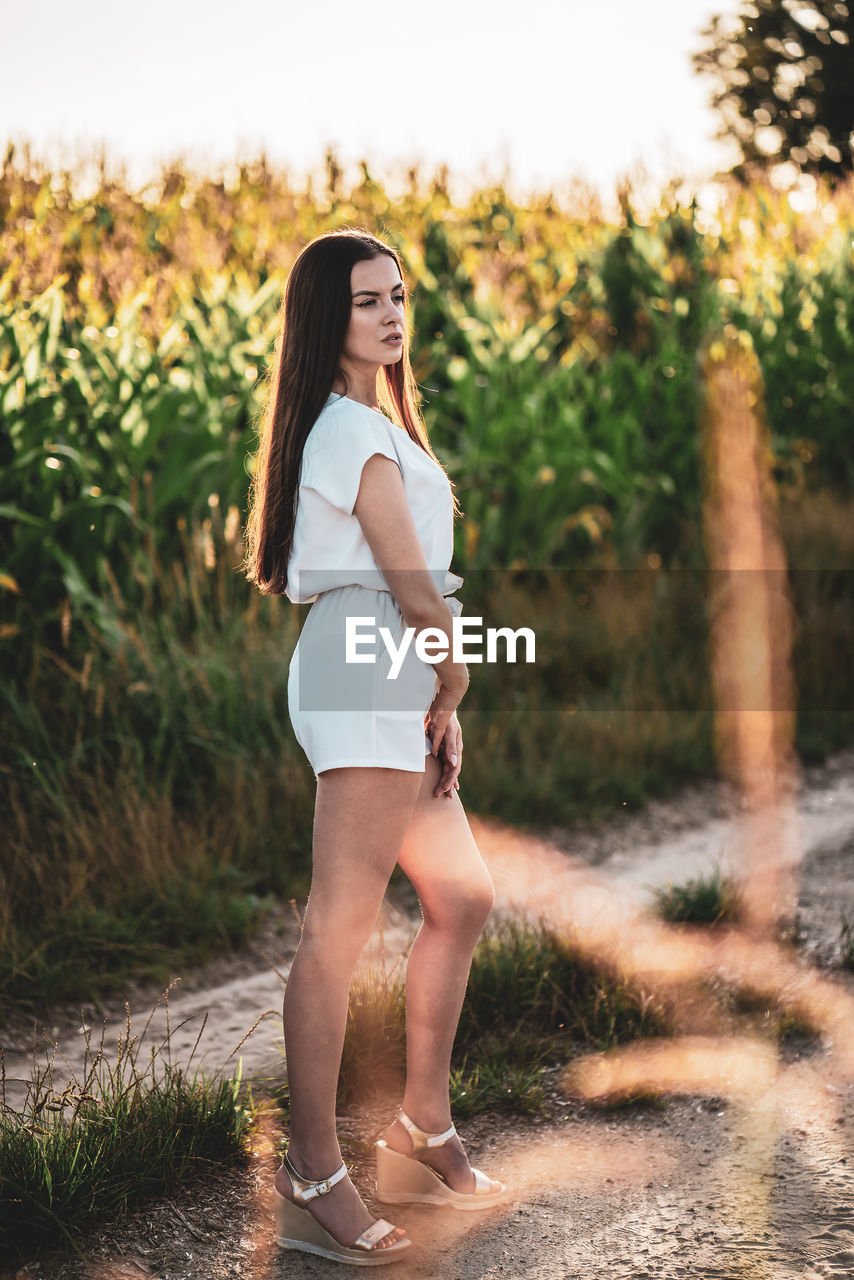 Young beautiful woman with brown hair in the corn field.