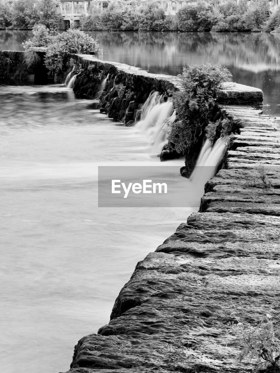 water, black and white, monochrome photography, monochrome, nature, shore, day, beauty in nature, scenics - nature, rock, coast, white, land, tree, tranquility, river, plant, outdoors, tranquil scene, black, non-urban scene, no people, motion, beach, wave