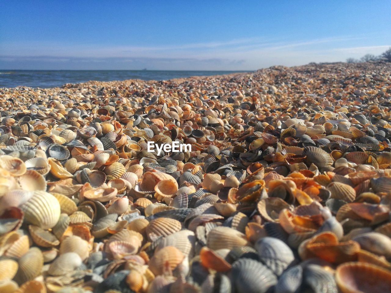 VIEW OF PEBBLES ON BEACH