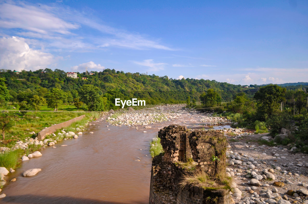 sky, water, environment, tree, nature, plant, landscape, river, land, scenics - nature, coast, beauty in nature, travel, cloud, no people, shore, travel destinations, blue, outdoors, forest, tranquility, tourism, body of water, reflection, reservoir, rural area, architecture, summer, pinaceae, day, mountain, environmental conservation, non-urban scene, sunlight, social issues