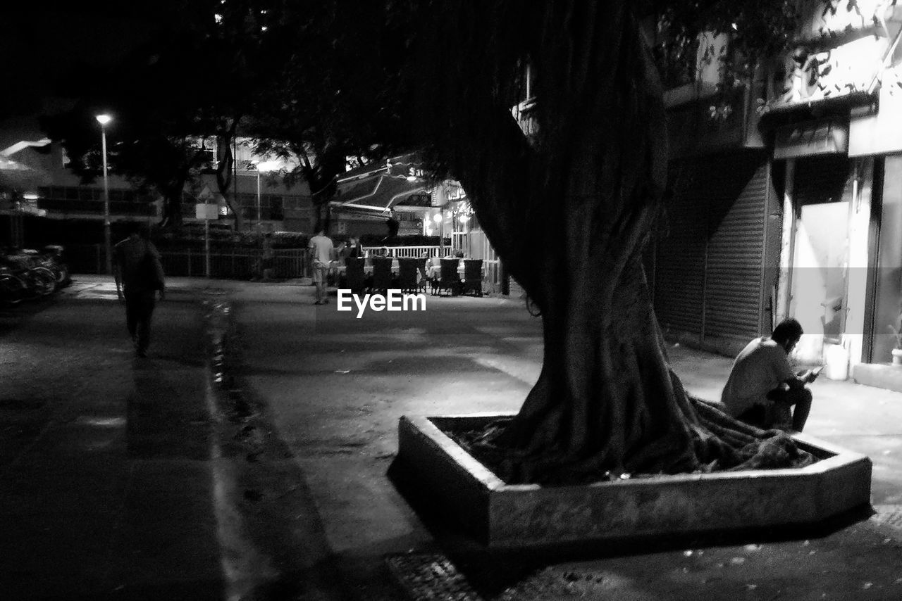 MAN IN CITY AGAINST TREE AT NIGHT