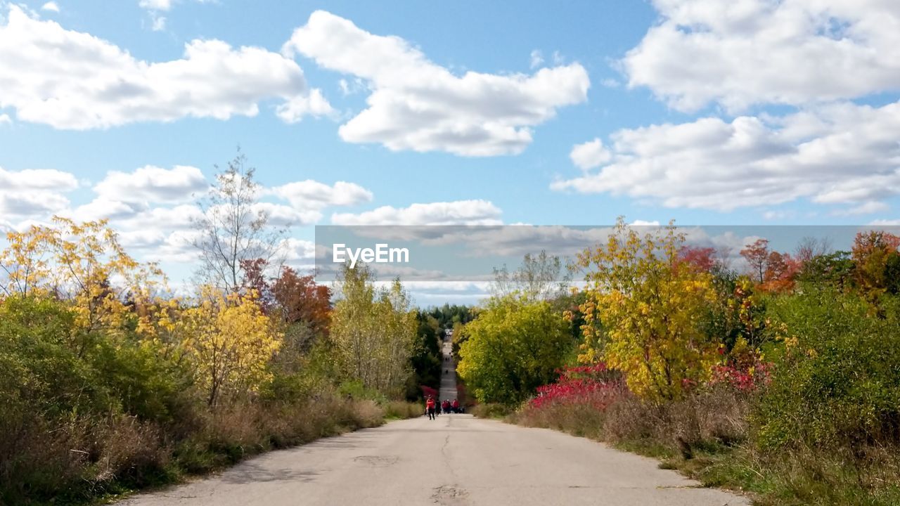 Rear view of person walking amidst trees against sky