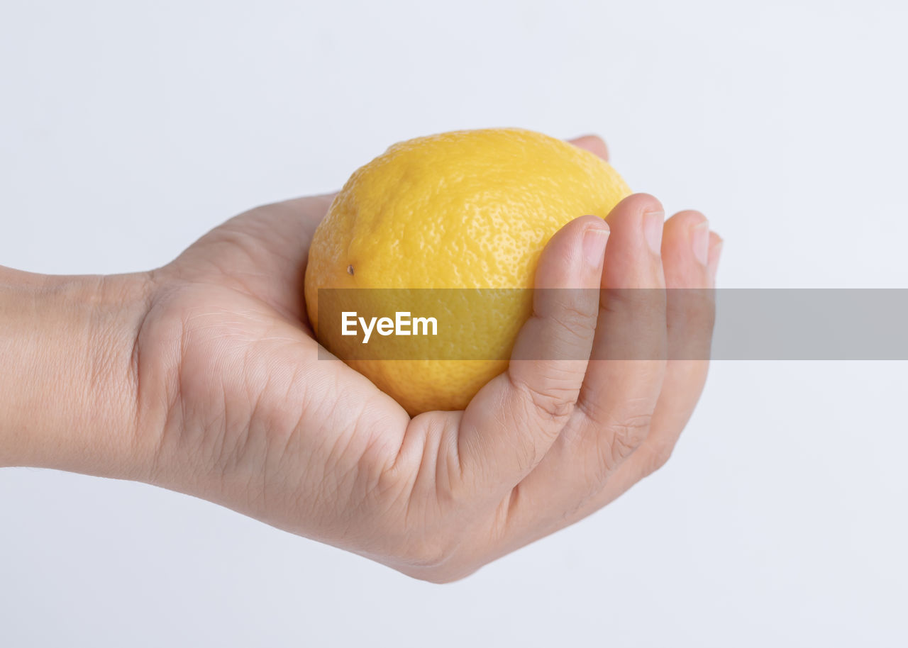 hand, citrus, fruit, lemon, citron, food, food and drink, healthy eating, produce, studio shot, plant, holding, citrus fruit, wellbeing, freshness, one person, yellow, indoors, white background, cut out, adult, close-up, orange, single object