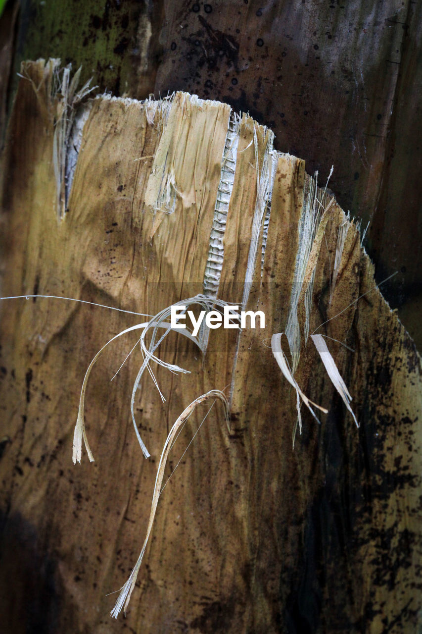 HIGH ANGLE VIEW OF OLD WOOD HANGING ON WOODEN WALL