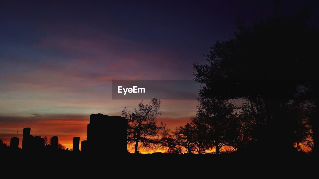 SILHOUETTE OF TREES AT SUNSET