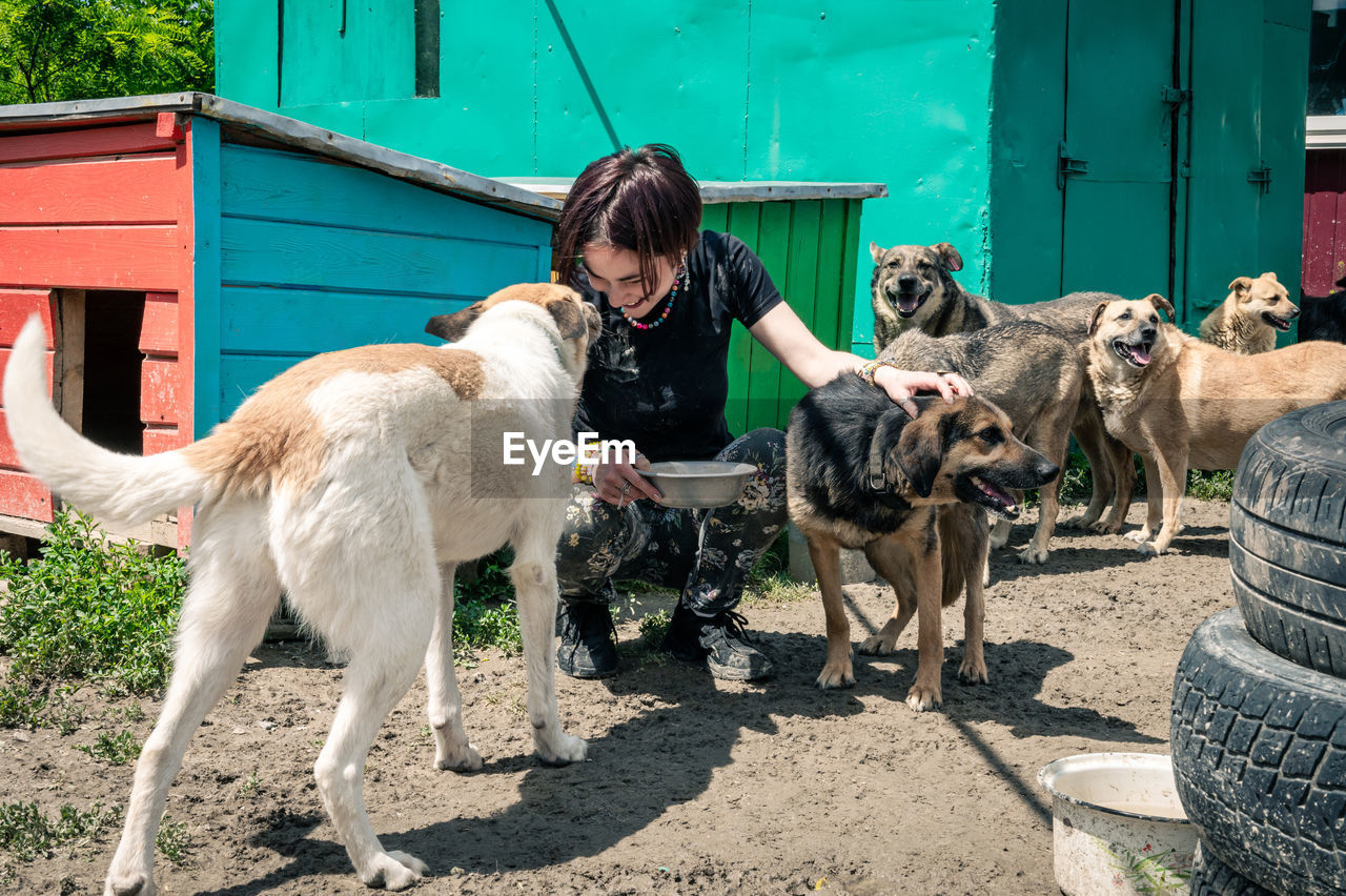 Dog at the shelter.  lonely dogs in cage with cheerful woman volunteer