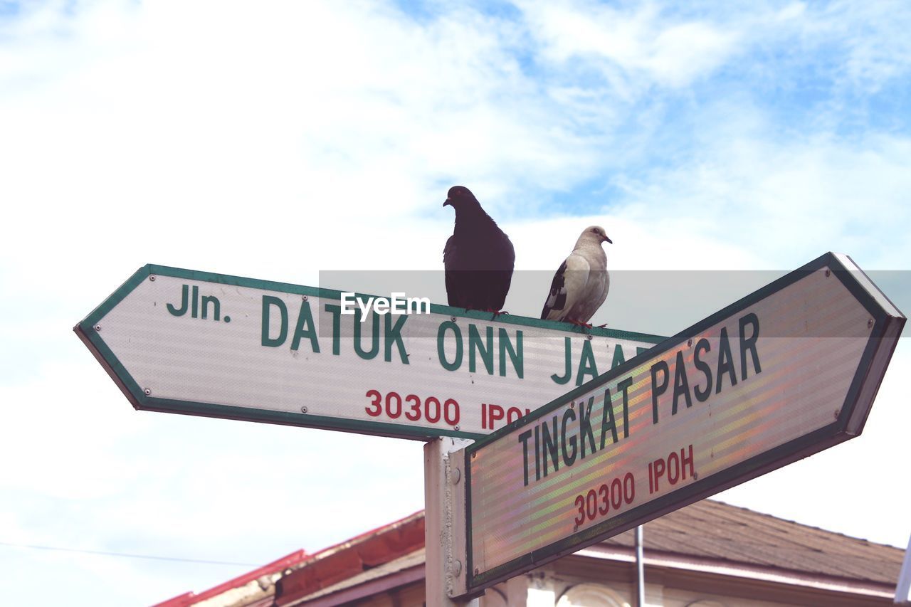 LOW ANGLE VIEW OF SIGN BOARD AGAINST SKY