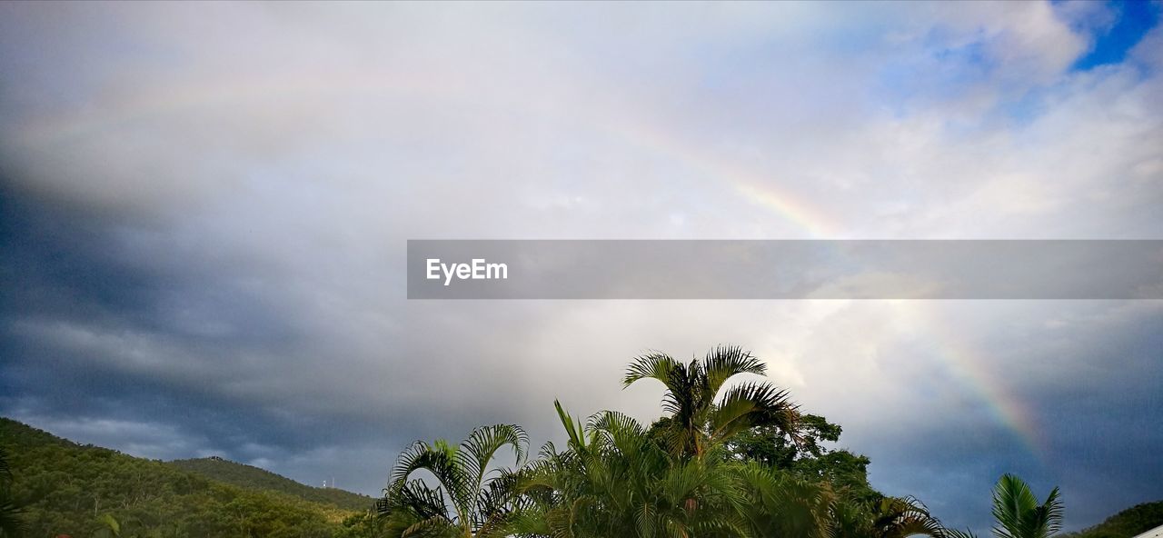 LOW ANGLE VIEW OF PALM TREES AGAINST CLOUDY SKY