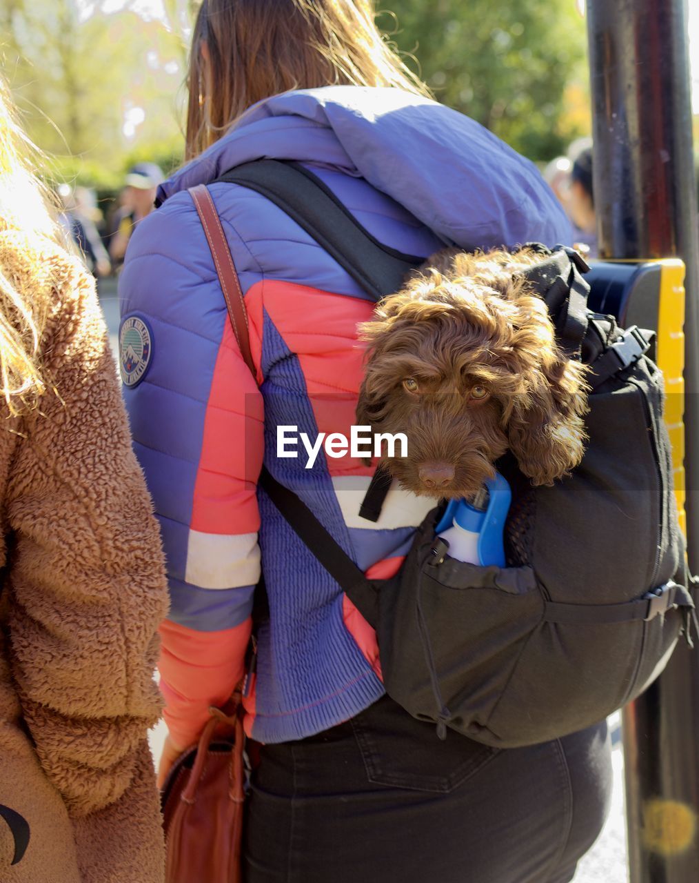 REAR VIEW OF WOMAN WITH DOG ON UMBRELLA AT NIGHT