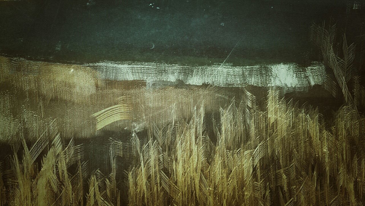 Scenery painted on wall