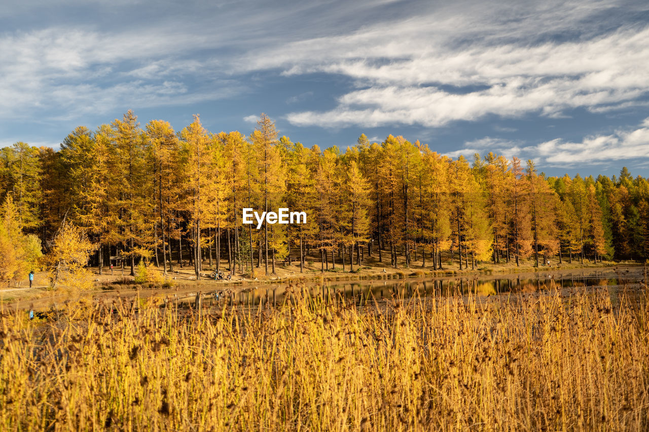 Autumn colors and lake reflection