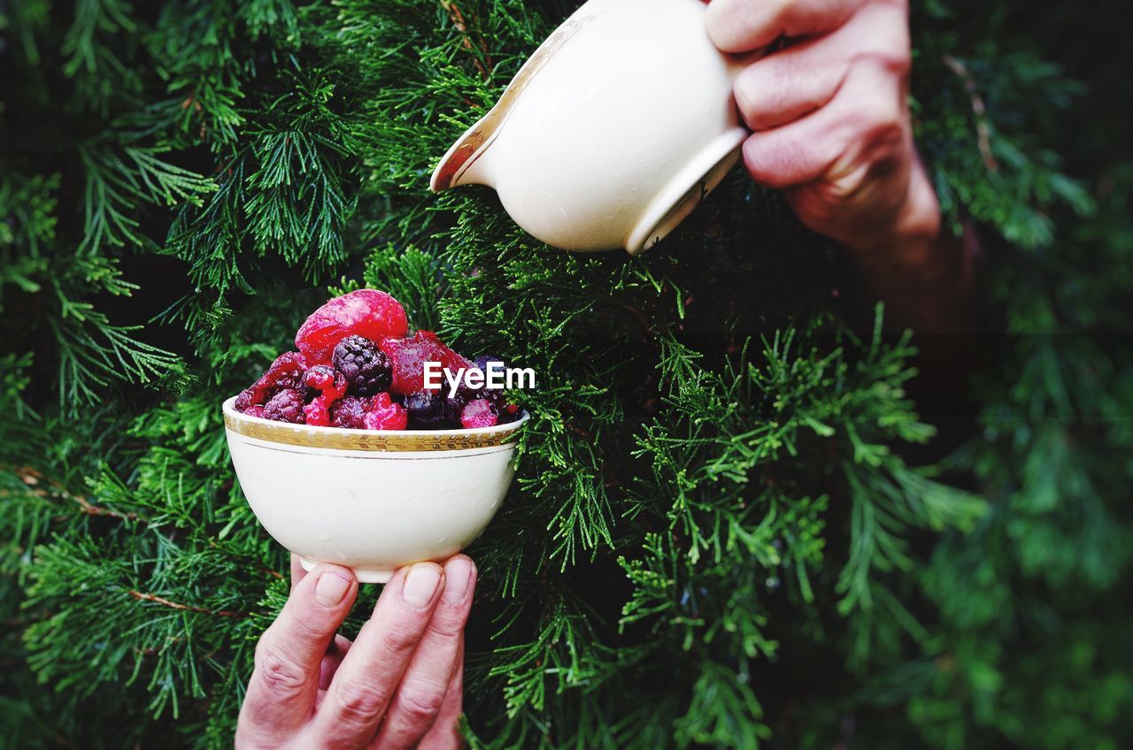 Person hiding behind tree pouring milk on berry fruits bowl