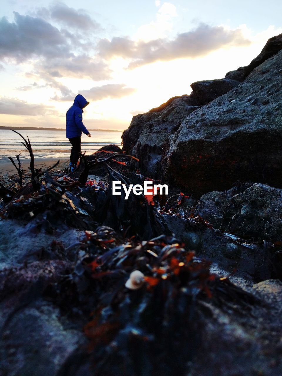 MAN STANDING ON ROCKS AT SHORE DURING SUNSET