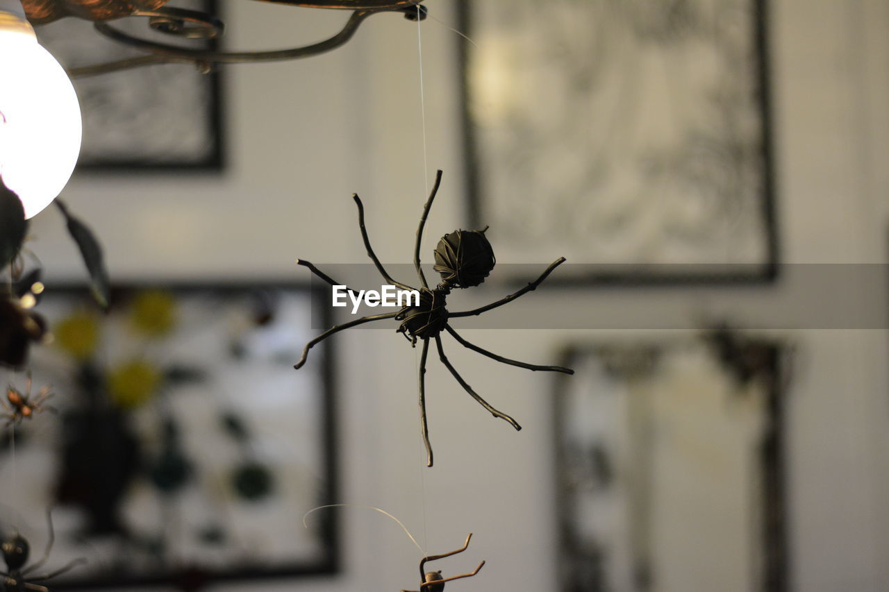 Close-up of artificial metallic spider hanging at home