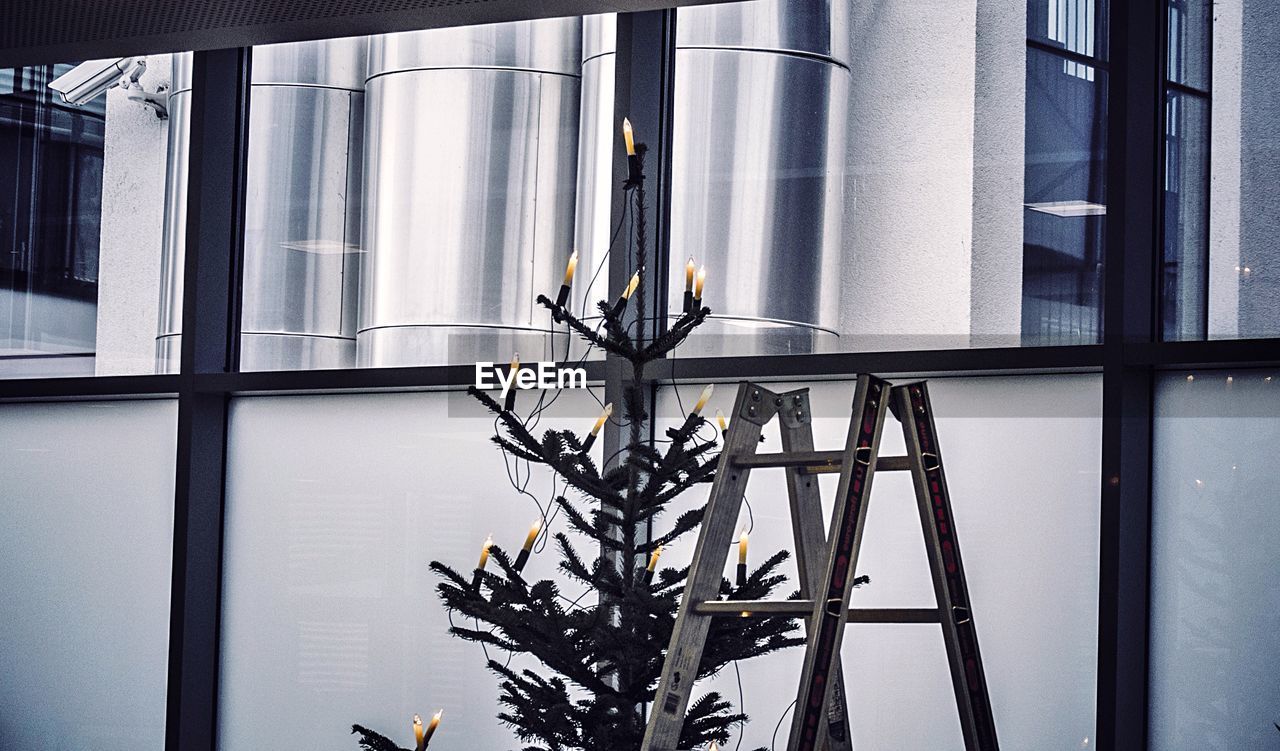 Illuminated christmas tree by ladder against window
