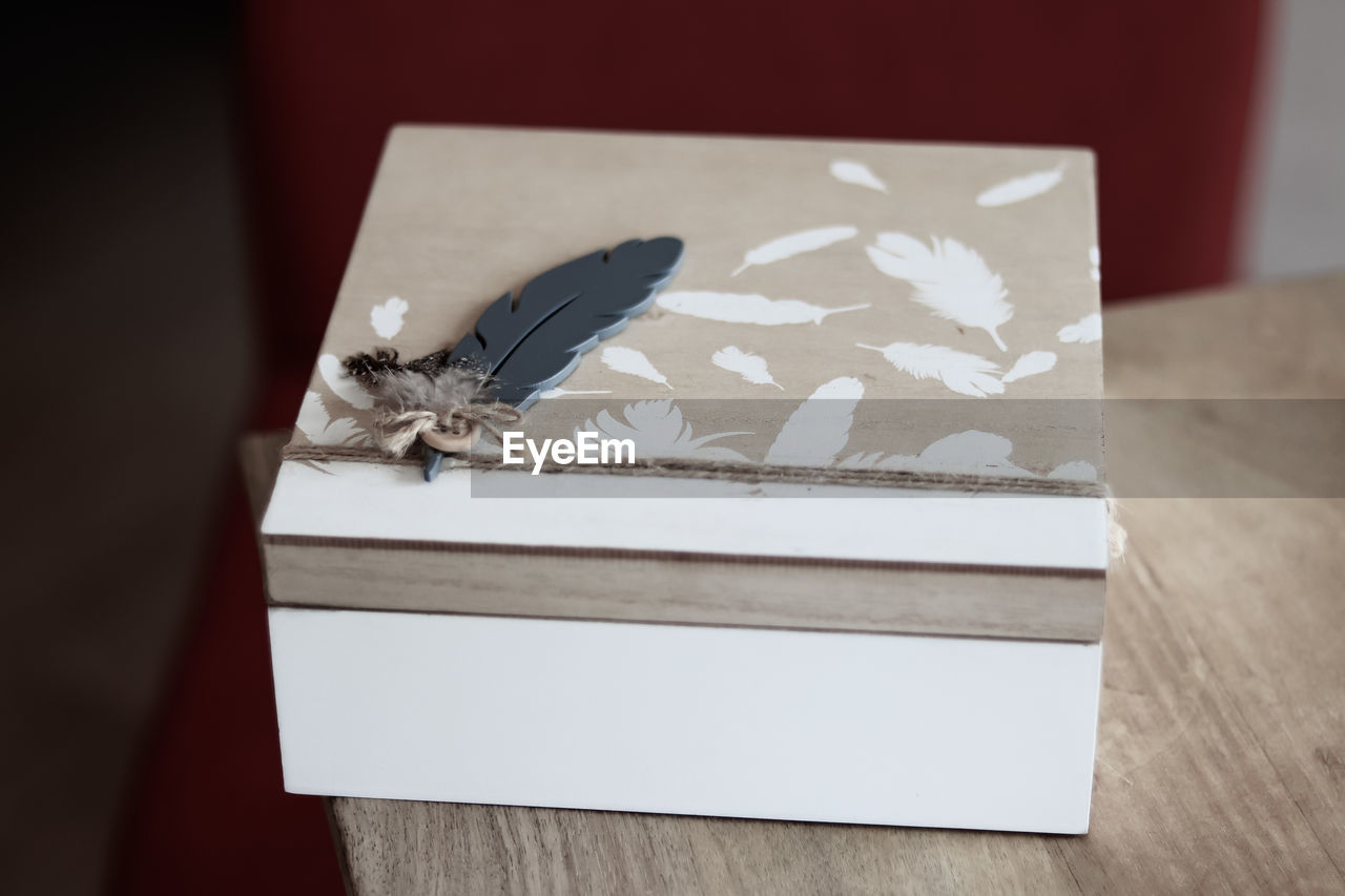 HIGH ANGLE VIEW OF AN INSECT ON WOODEN TABLE