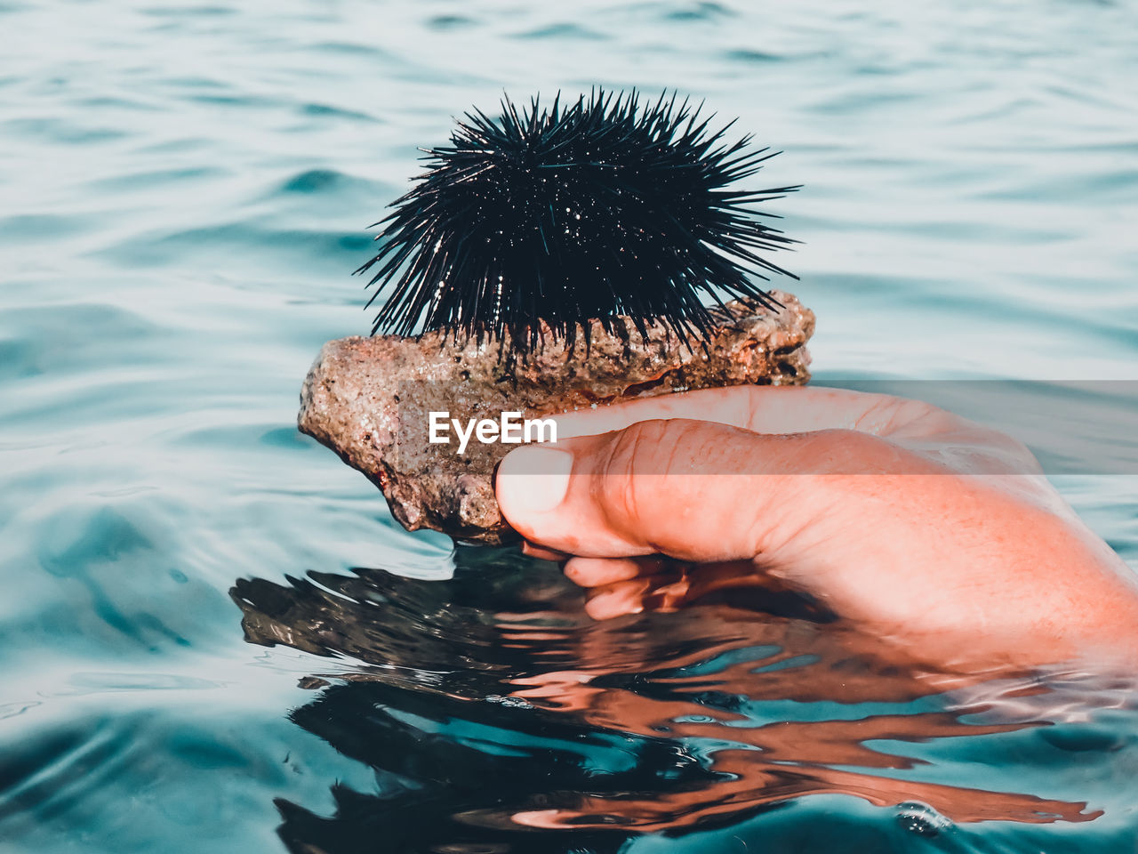 MIDSECTION OF PERSON HOLDING SEA BY PALM