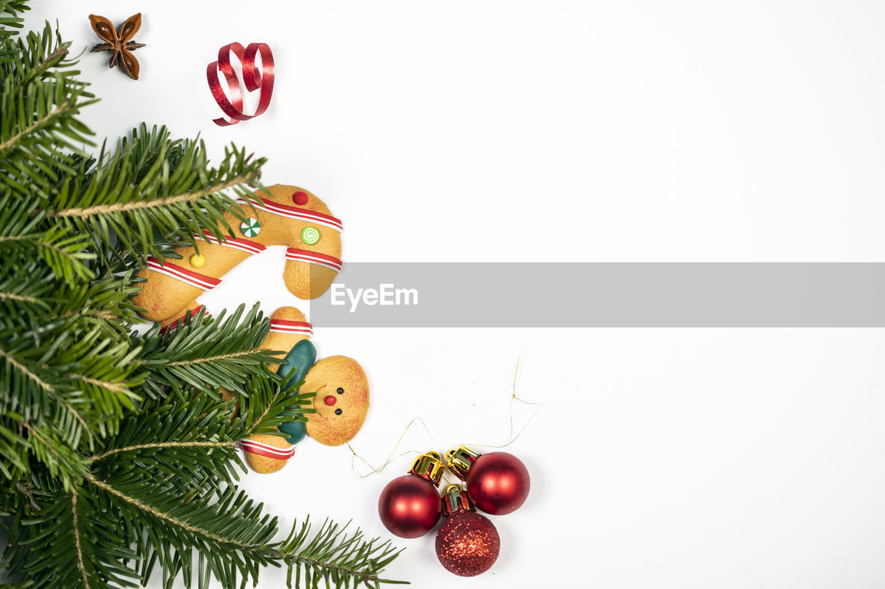 CHRISTMAS DECORATIONS HANGING ON TREE AGAINST WHITE BACKGROUND