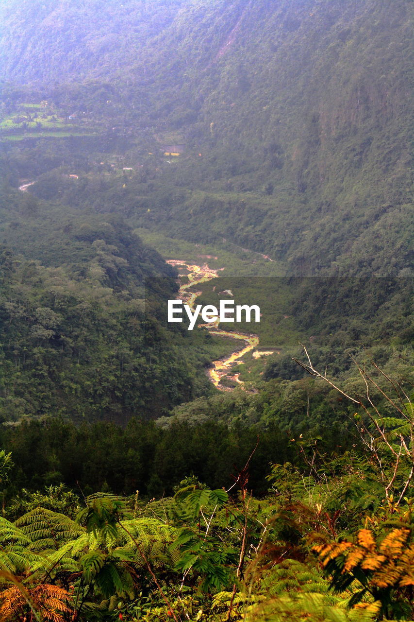 HIGH ANGLE VIEW OF LANDSCAPE