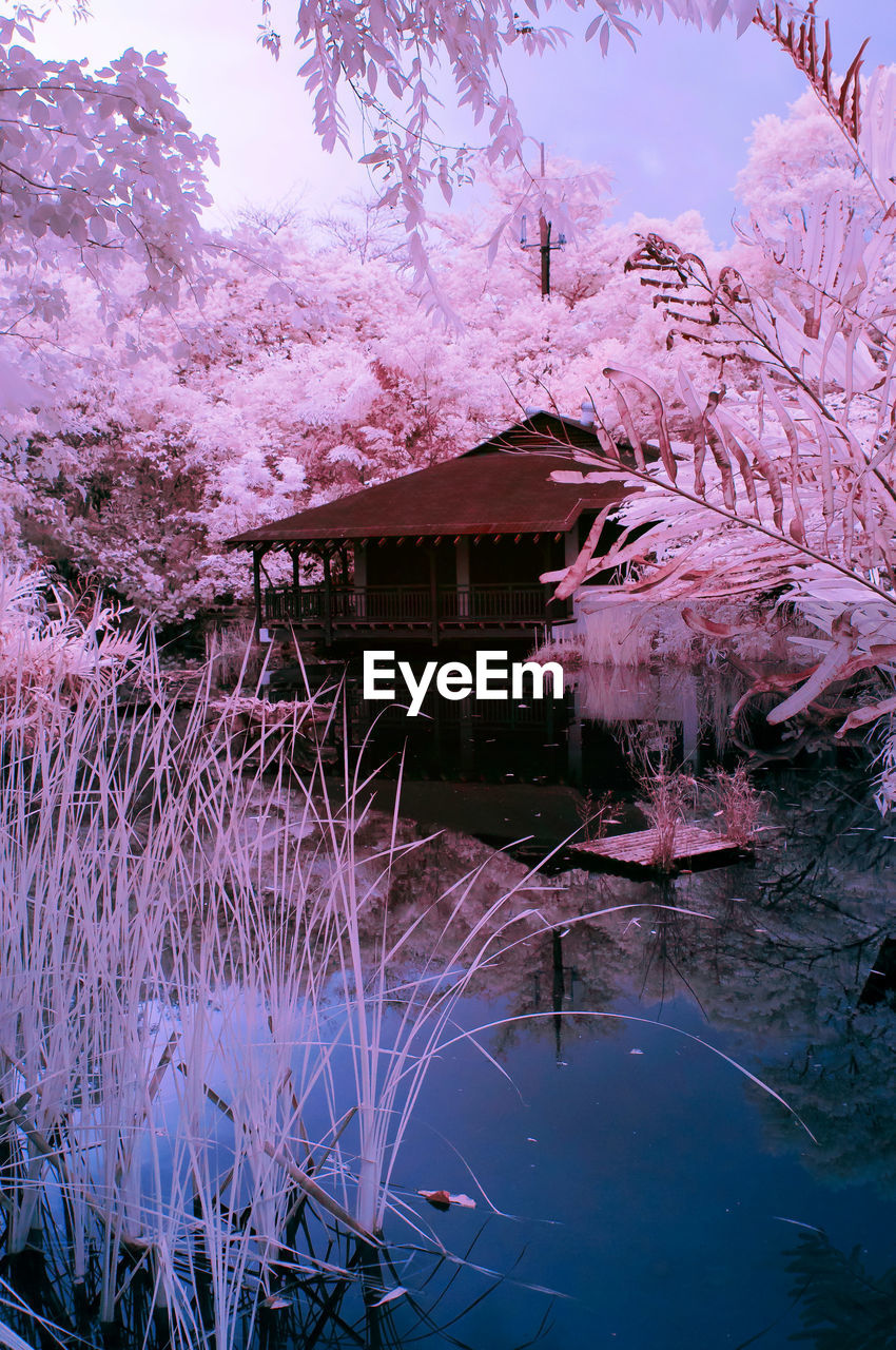 House on lake surrounded by trees