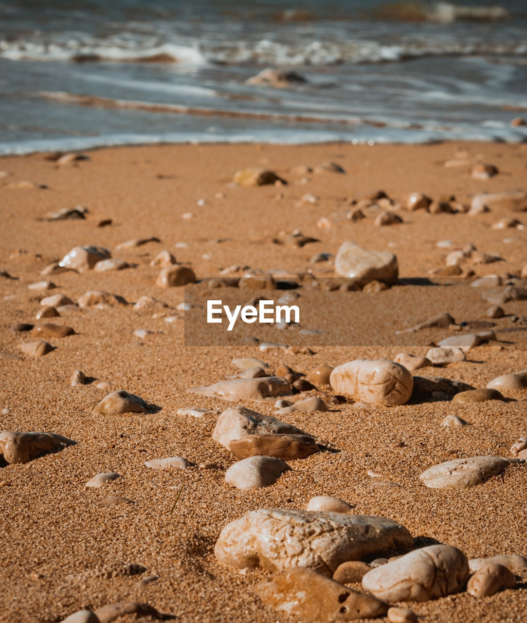 CLOSE-UP OF BEACH