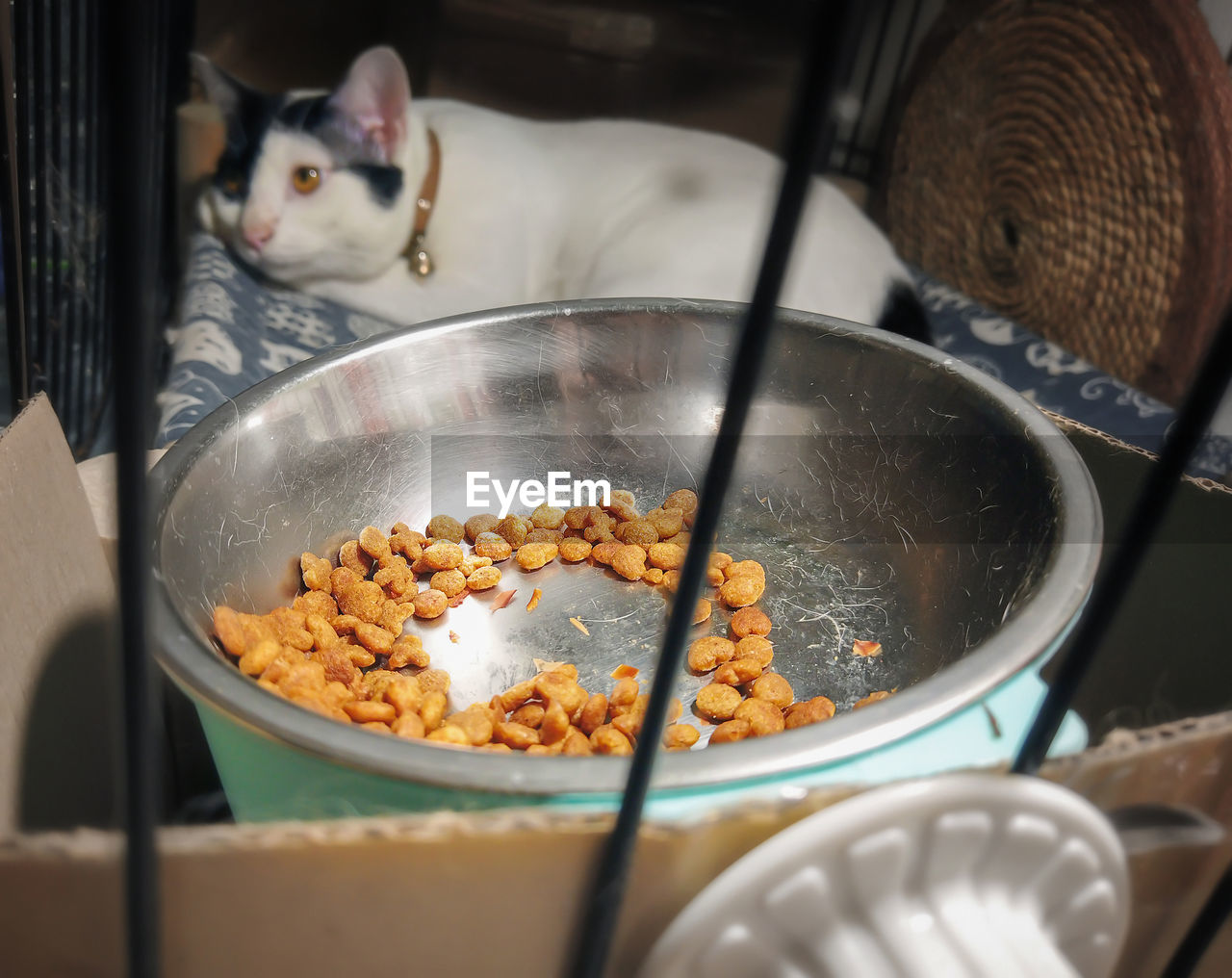 cat, food and drink, food, carnivore, snack, pet, household equipment, domestic animals, indoors, animal, meal, kitchen utensil, wok, animal themes, mammal, dish, domestic room, cooking, appliance, no people, kitchen, baked, domestic cat, freshness, one animal, cooking pan, feline, bowl