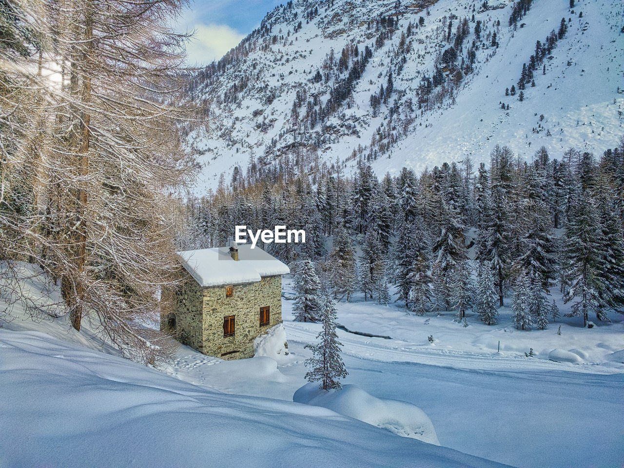 Snow covered land and trees against mountain