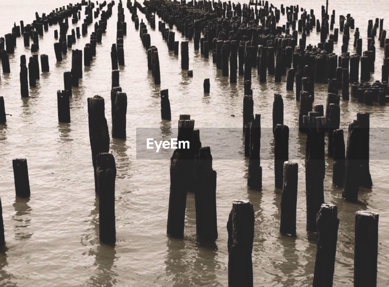 WOODEN POSTS IN WATER